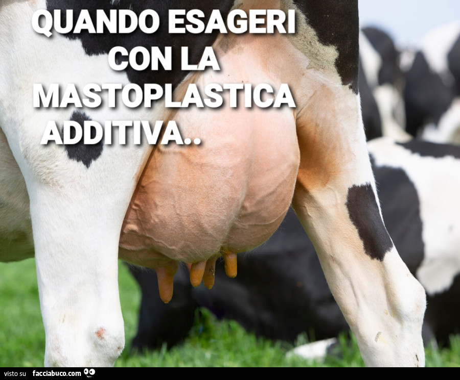 Mastoplastica