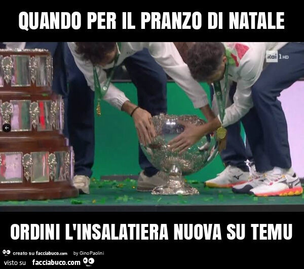 Quando per il pranzo di natale ordini l'insalatiera nuova su temu