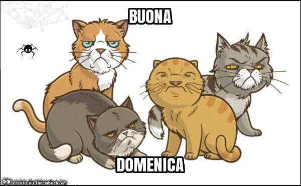 Buona domenica