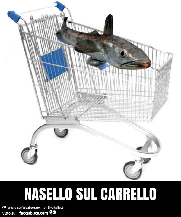 Nasello sul carrello