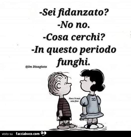 Sei fidanzato? No no. Cosa cerchi? In questo periodo funghi