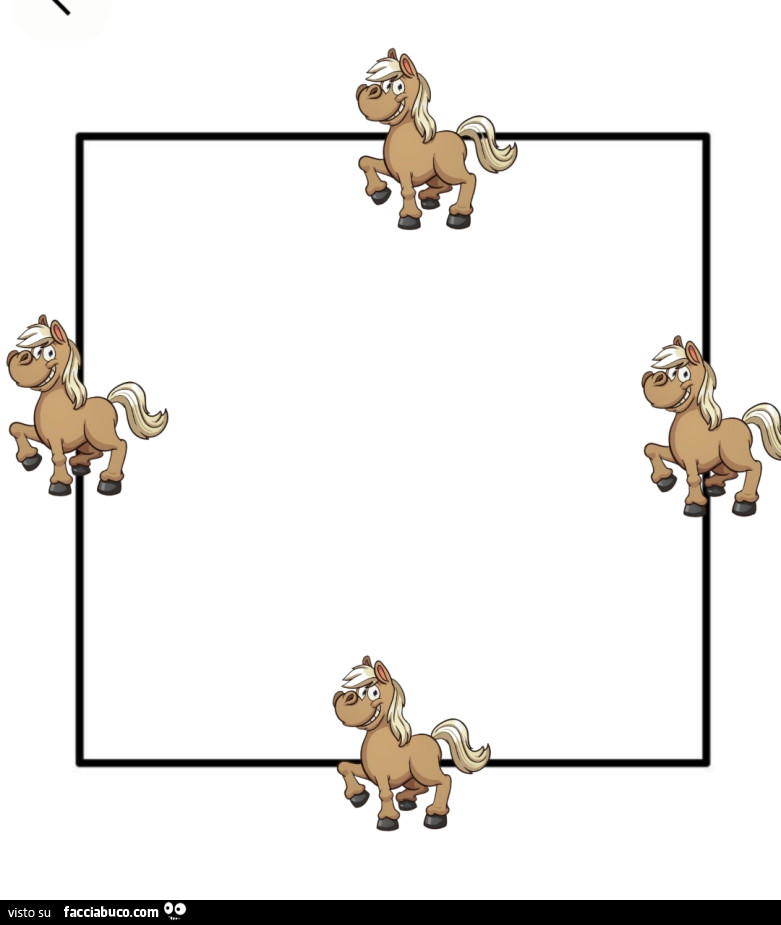 4 Cavalli