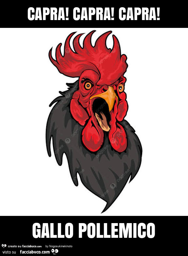 Capra! Capra! Capra! Gallo pollemico