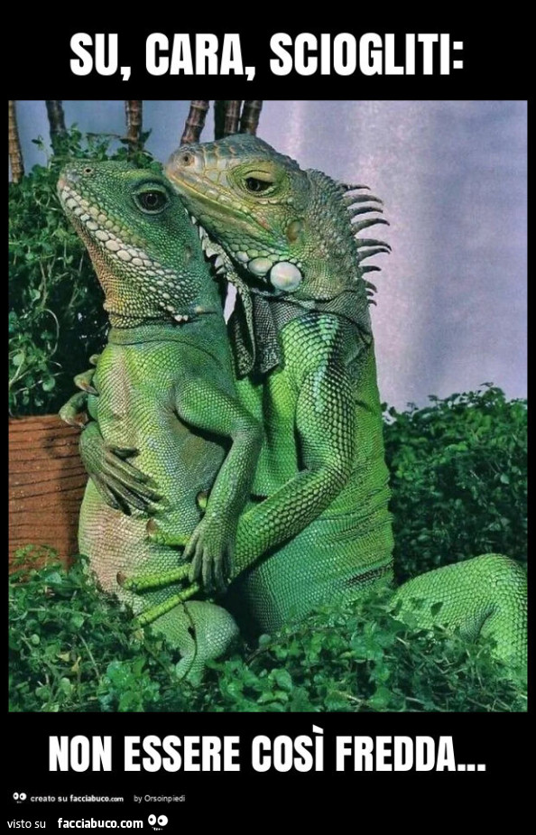 Su, cara, sciogliti: non essere così fredda