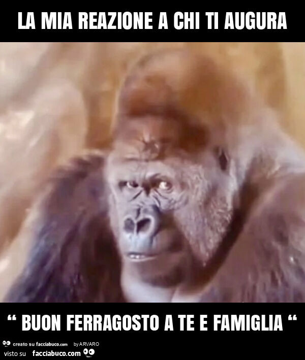 La mia reazione a chi ti augura “ buon ferragosto a te e famiglia “