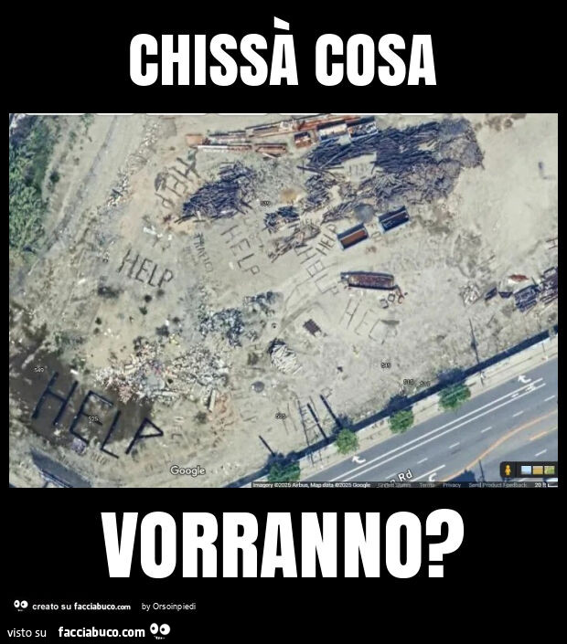 Chissà cosa vorranno?