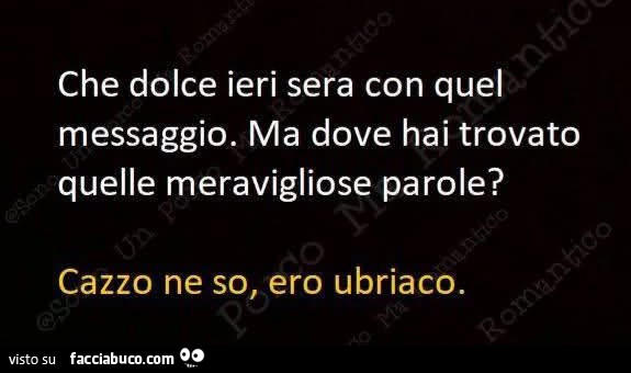 Che dolce ieri sera con quel messaggio. Ma dove hai trovato quelle meravigliose parole? Cazzo ne so, ero ubriaco