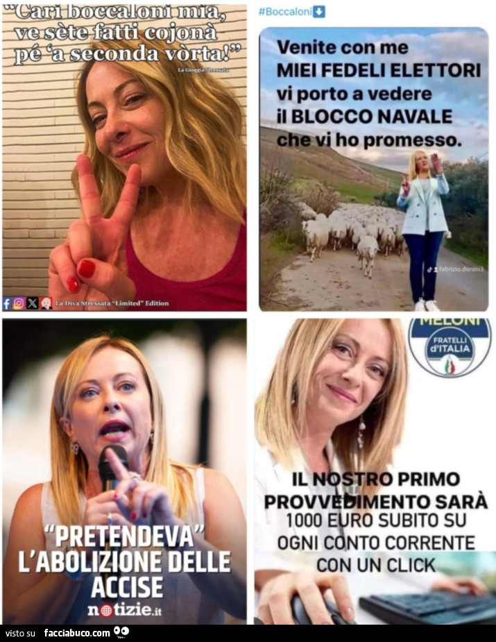 Vaccata