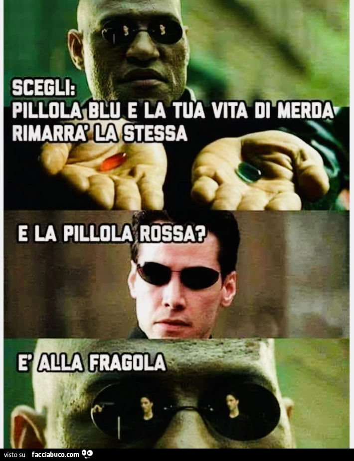 Vaccata