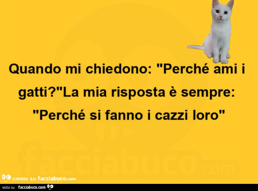 Quando mi chiedono: perchรฉ ami i gatti? La mia risposta รจ sempre: perchรฉ si fanno i cazzi loro