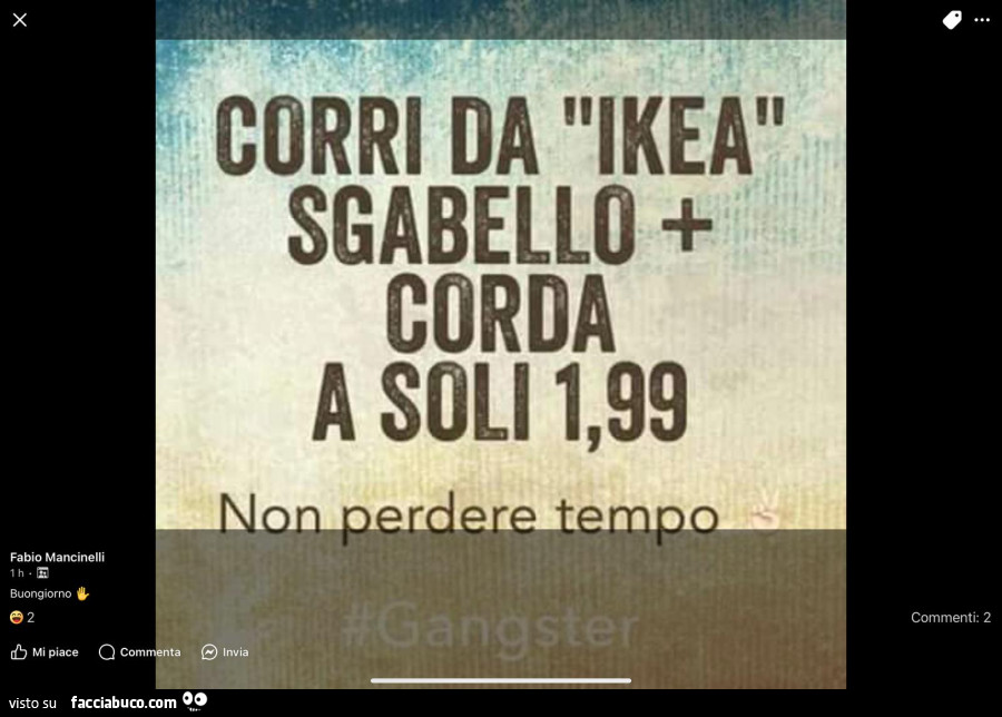 Vaccata