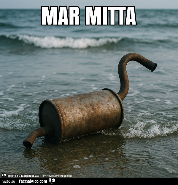 Mar mitta