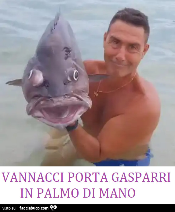 Vaccata