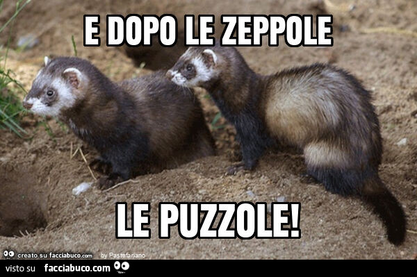 E dopo le zeppole le puzzole