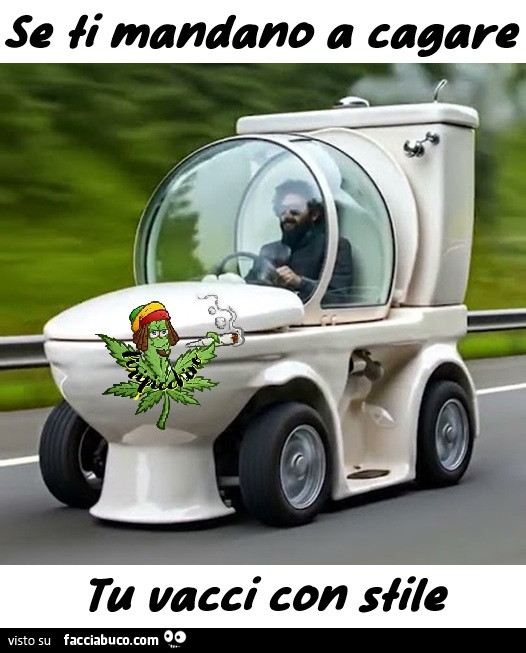 Vaccata