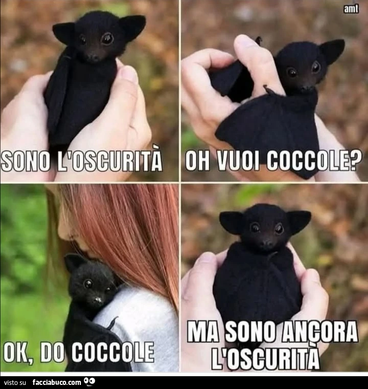 Vaccata