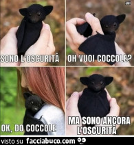 Vaccata