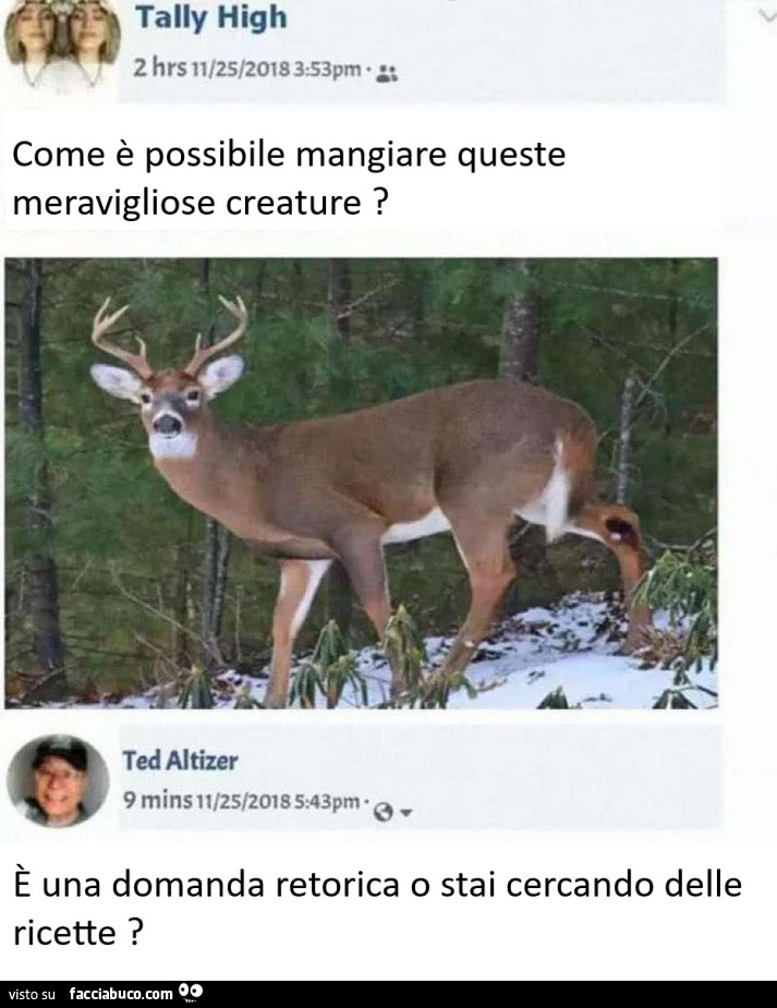 Come è possibile mangiare un cerbiatto?