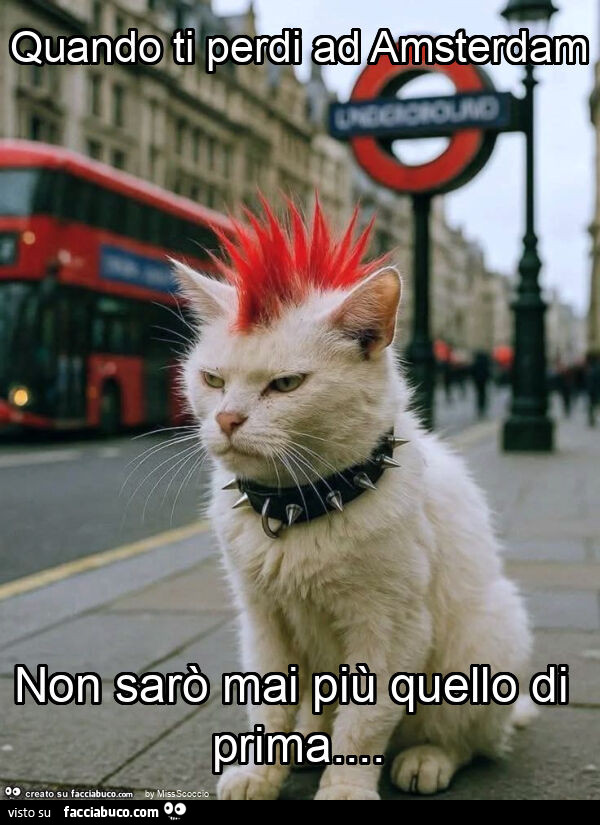 Quando ti perdi ad amsterdam non sarò mai più quello di prima