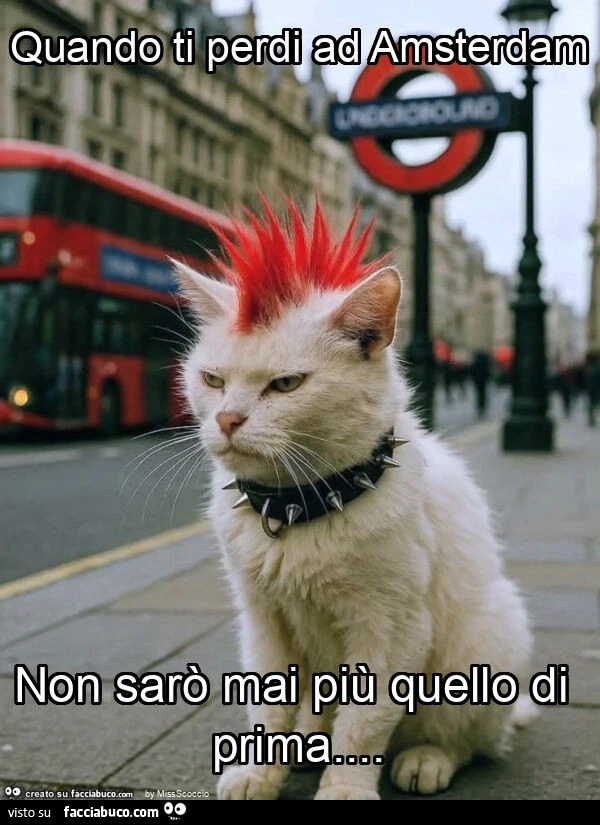 Quando ti perdi ad amsterdam non sarรฒ mai piรน quello di prima