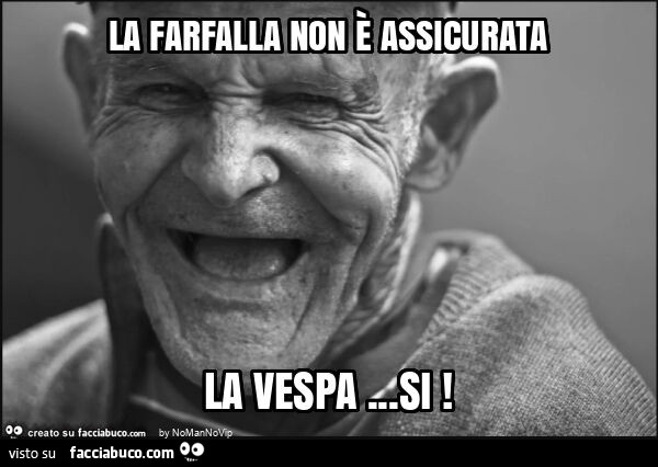 La farfalla non è assicurata la vespa… si