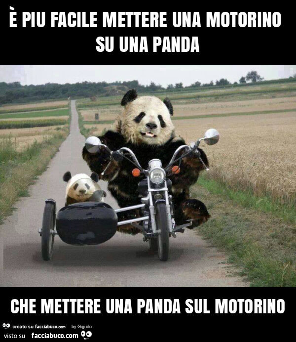È piu facile mettere una motorino su una panda che mettere una panda sul motorino