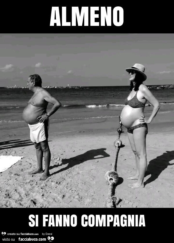 Almeno si fanno compagnia