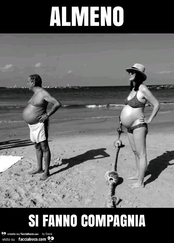 Almeno si fanno compagnia