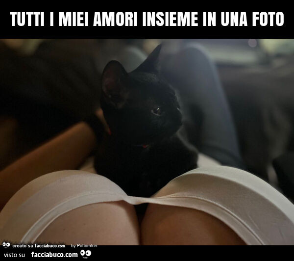 Tutti i miei amori insieme in una foto