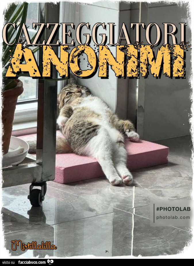 CAZZEGGIATORI anonimi