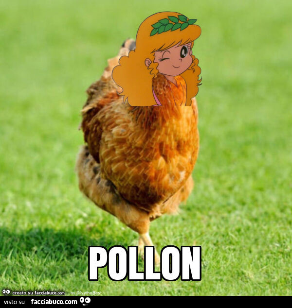 Pollon