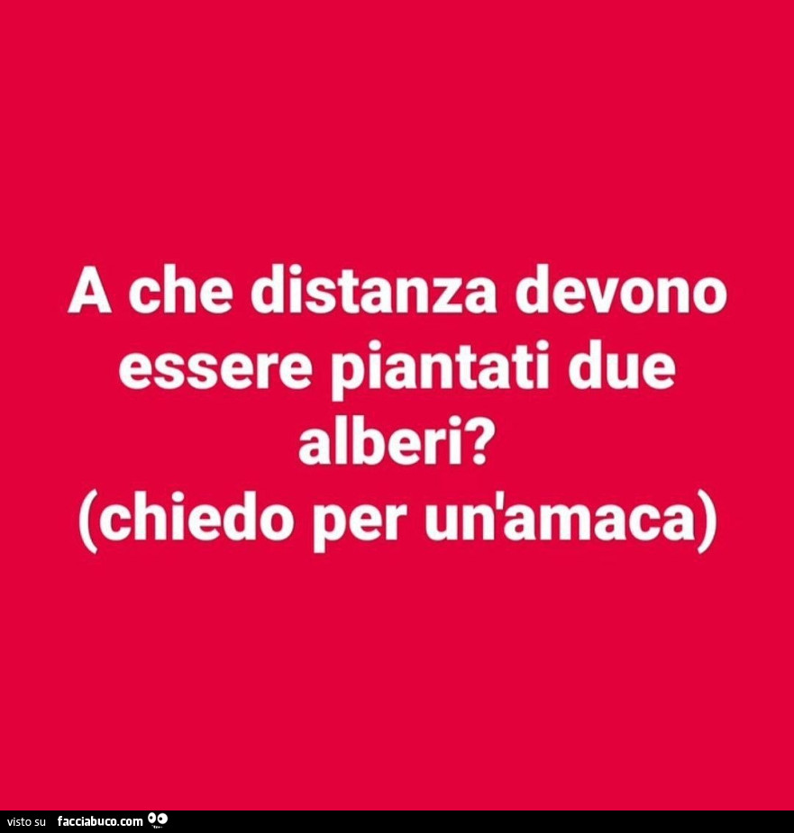 A che distanza devono essere piantati due alberi? Chiedo per un'amaca