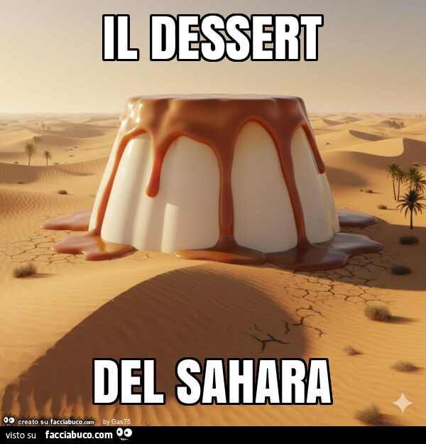 Il dessert del sahara
