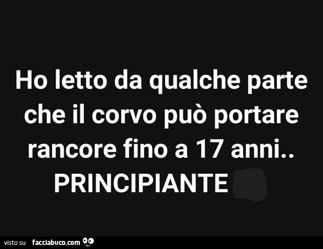 Ho letto da qualche parte che il corvo puรฒ portare rancore fino a 17 anni. Principiante