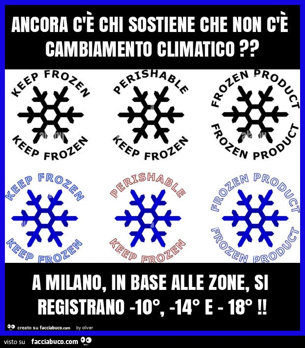 Ancora c'è chi sostiene che non c'è cambiamento climatico? A milano, in base alle zone, si registrano -10°, -14° e - 18°