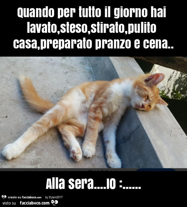 Quando per tutto il giorno hai lavato, steso, stirato, pulito casa, preparato pranzo e cena. Alla sera… io