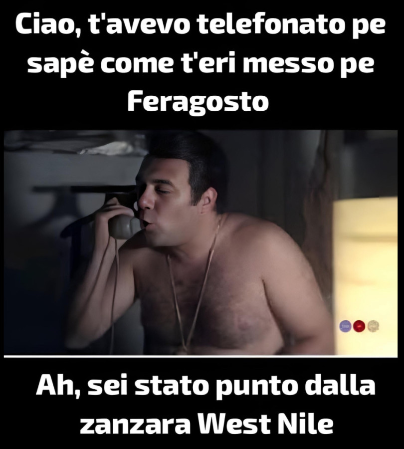 Vaccata