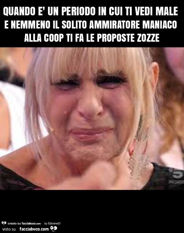 Quando è un periodo in cui ti vedi male e nemmeno il solito ammiratore maniaco alla coop ti fa le proposte zozze