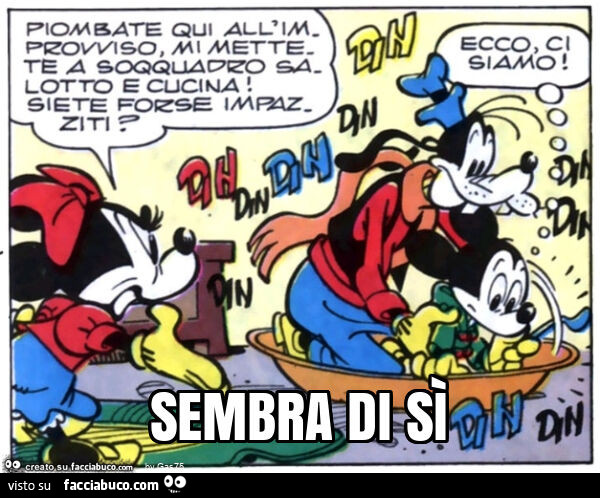 Sembra di sì