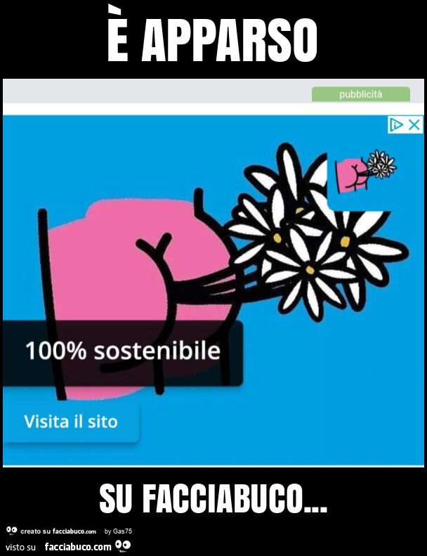 ร apparso su facciabuco