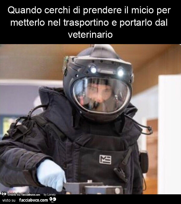 Quando cerchi di prendere il micio per metterlo nel trasportino e portarlo dal veterinario