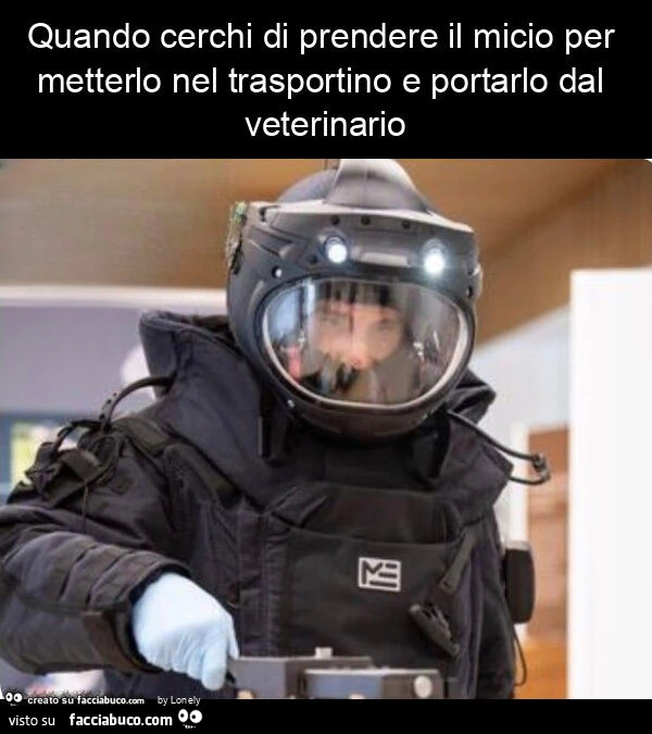 Quando cerchi di prendere il micio per metterlo nel trasportino e portarlo dal veterinario