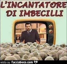 Vaccata