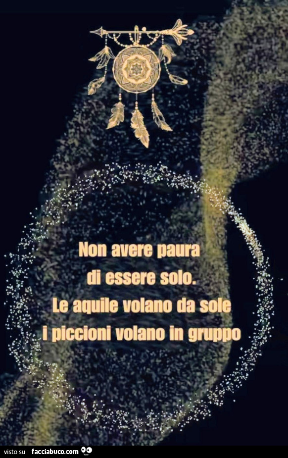 Aquila