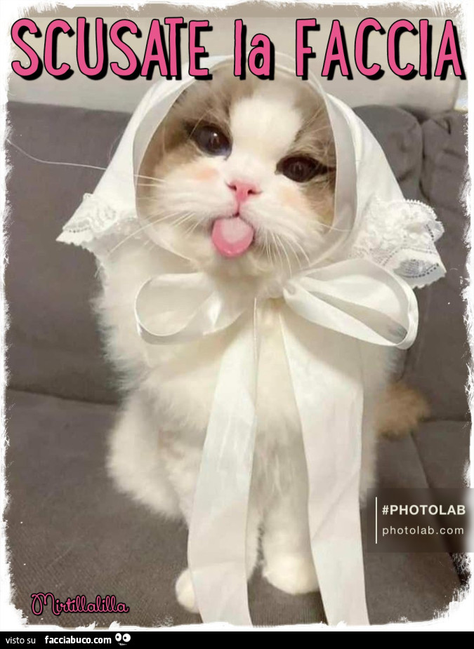 Scusate la faccia