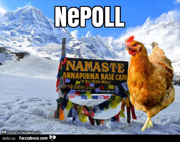 Nepoll