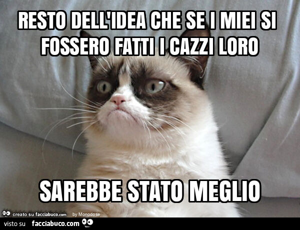 Resto dell'idea che se i miei si fossero fatti i cazzi loro sarebbe stato meglio