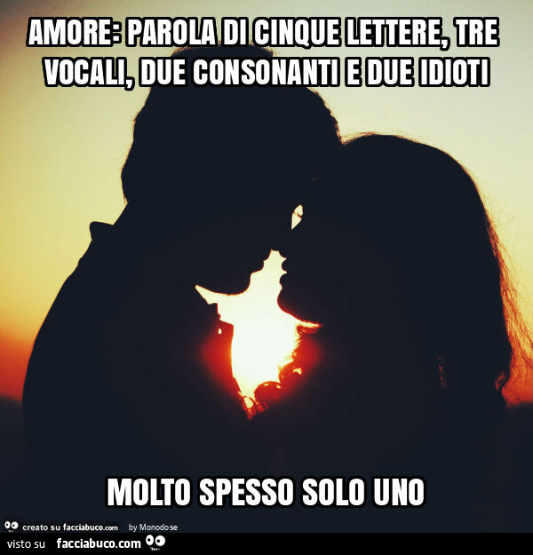 Amore: parola di cinque lettere, tre vocali, due consonanti e due idioti molto spesso solo uno