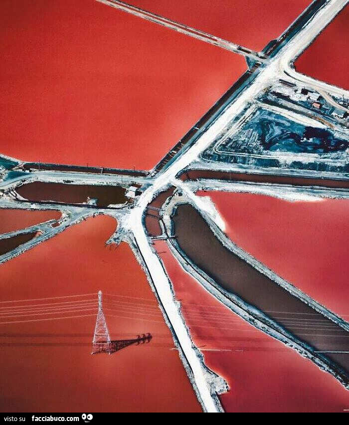 La Baia di San Francisco, in California colorata di rosso x le Alghe. Foto di NearMap
