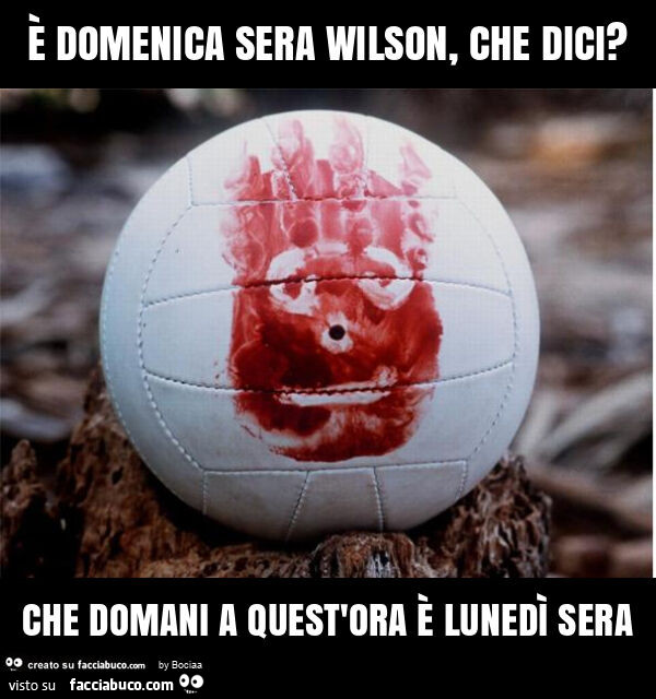 ร domenica sera wilson, che dici? Che domani a quest'ora รจ lunedรฌ sera